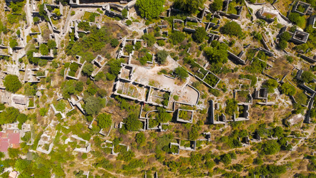 Similar image 22432069