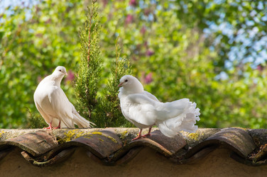 Similar image 22431906