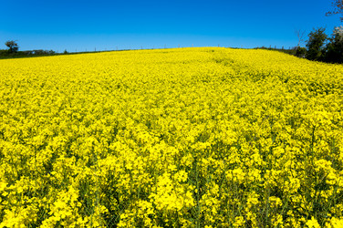 Similar image 22431908