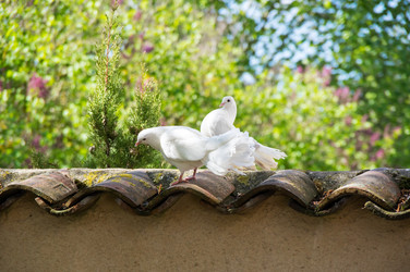 Similar image 22431911