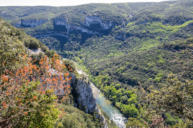 Similar image 22431913