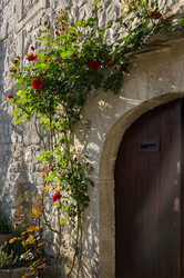 Similar image 22431915