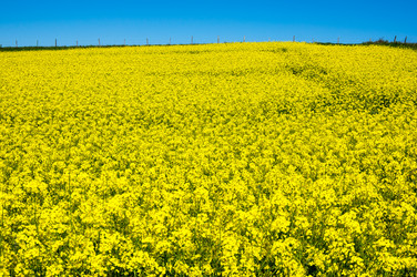 Similar image 22431927