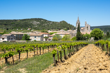 Similar image 22431928