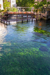 Similar image 22431932