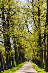 Similar image 22431942