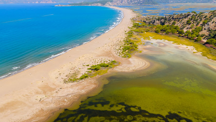 Similar image 22432140