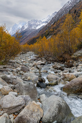 Similar image 22431944