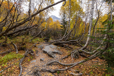 Similar image 22431946