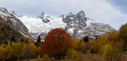 Similar image 22431948