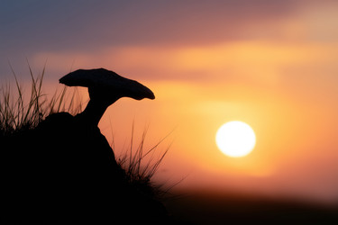 Similar image 22442801