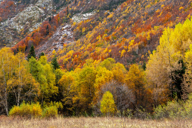 Similar image 22431950