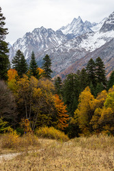 Similar image 22431951