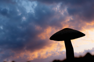 Similar image 22442802