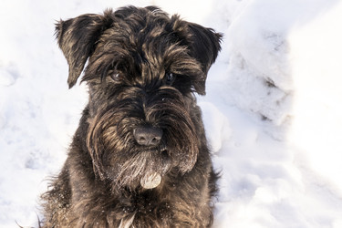 Similar image 22435055