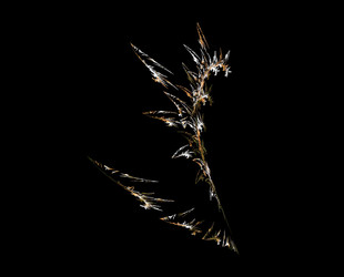 Similar image 22432536