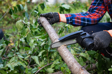 Similar image 22431754