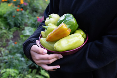 Similar image 22431757