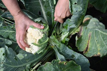 Similar image 22431764