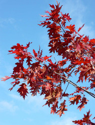 Similar image 22432565