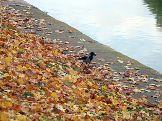 Similar image 22432568