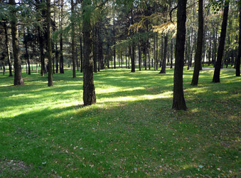 Similar image 22432574