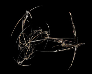 Similar image 22432749