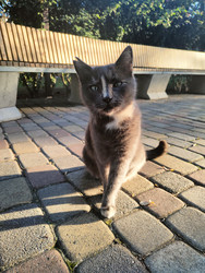 Similar image 22431703