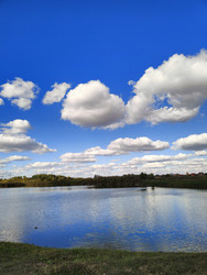 Similar image 22431705