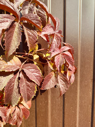 Similar image 22431707