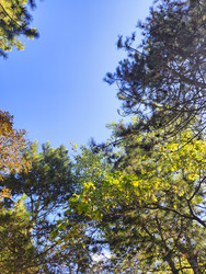 Similar image 22431711