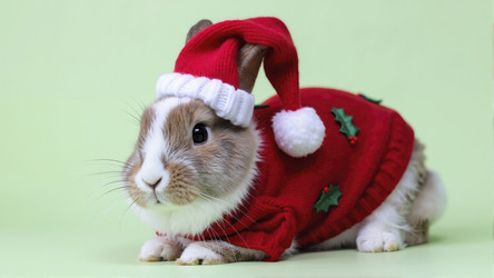 Similar image 22436159