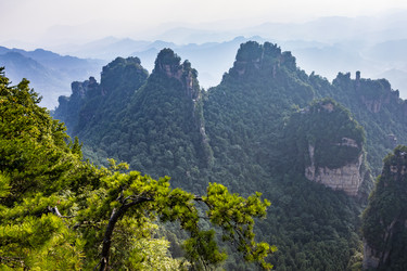 Similar image 22475206