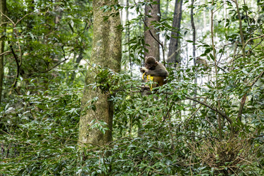 Similar image 22475207