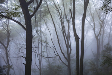 Similar image 22475208