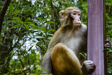 Similar image 22475285