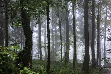 Similar image 22475298