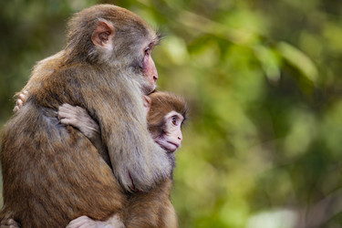 Similar image 22475300