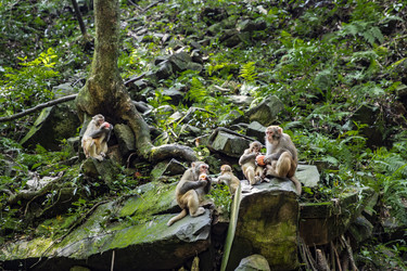 Similar image 22475303