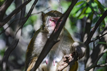 Similar image 22475308