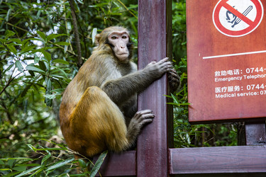 Similar image 22475310