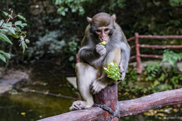 Similar image 22475314