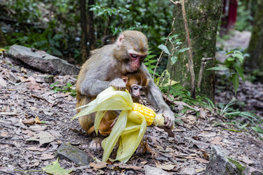 Similar image 22475319