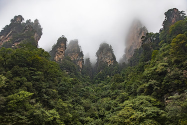 Similar image 22475320