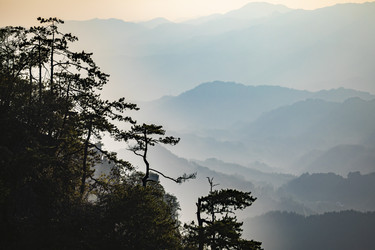 Similar image 22475321