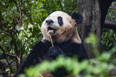 Similar image 22475322