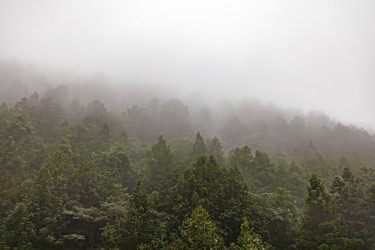 Similar image 22475323