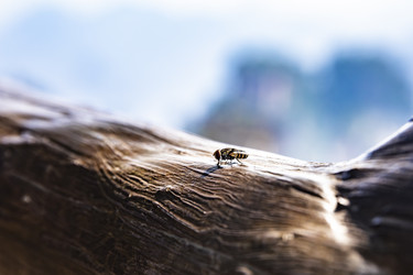 Similar image 22475328