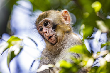 Similar image 22475332