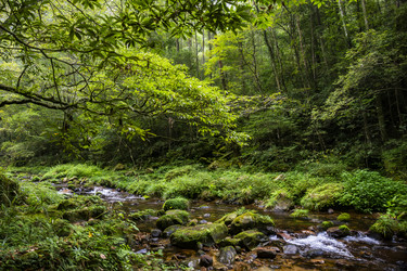 Similar image 22475337